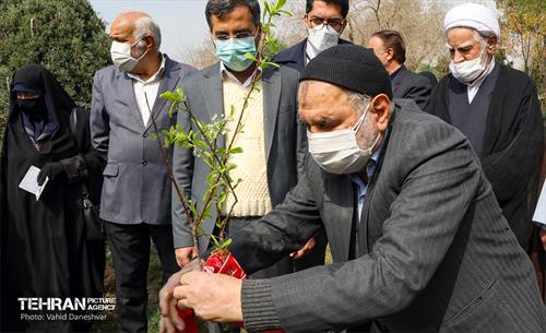 مراسم‌ کاشت نهال در بوستان بهاران منطقه ۱۷