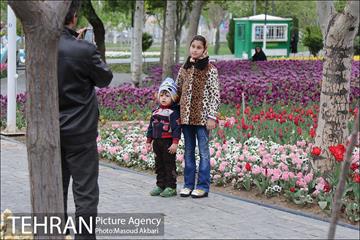 جشنواره لاله‌ها در بوستان زندگی محله هرندی 8