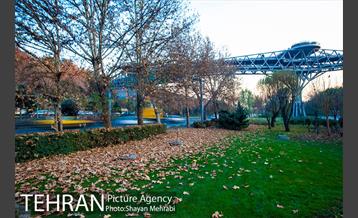 پاییز پل طبیعت 37