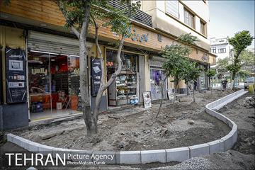 باز پیرایی خیابان 50 ساله 10