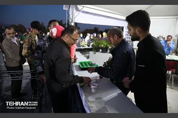 بهار قرآن و طبیعت در برج میلاد 5