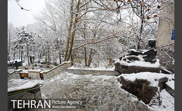 بارش برف زمستانی در تهران 6