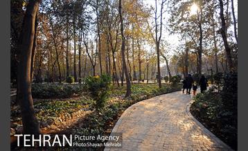پاییز باغ ایرانی 4