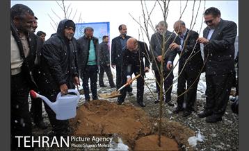 مراسم روز درختکاری با حضور شهردار تهران و رئیس مجلس 25