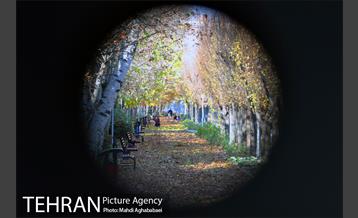 پاییز بوستان تمدن 13