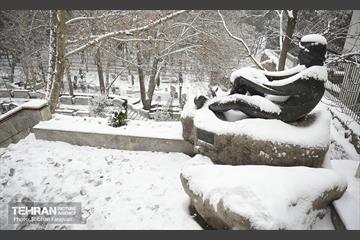 روز برفی تهران 14