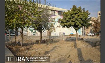 پلازای هاشمی 1