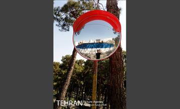 بوستان های خیابان ولیعصر 23