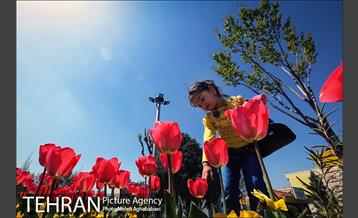 لاله های بوستان یاسمن 11