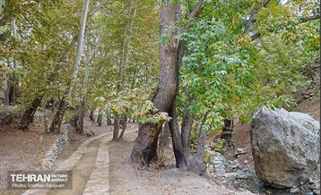 ­اکوپارک رود دره فرحزاد 41