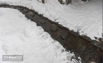 روایت مه‌و‌برف در بوستان سنگی تهران  19