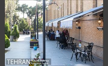 باغ موزه قصر 48