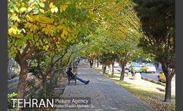 طبیعت پاییزی بلوار کشاورز 6