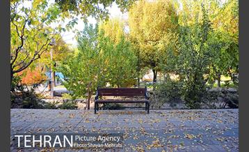 طبیعت پاییزی بلوار کشاورز 11