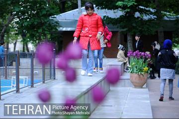 باغ ایراتی (بوستان مهندس مختاری) 15