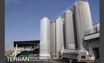 خط تولید شرکت صنایع شیر ایران 12