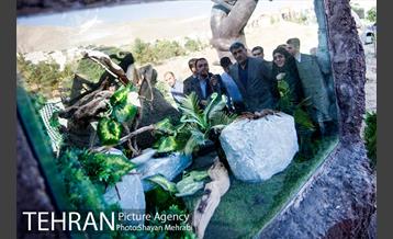 افتتاح پروژه های منطقه ۲ شهرداری تهران 22