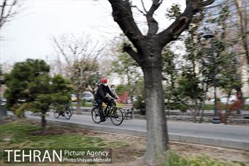 پویش سه شنبه های بدون خودرو 13