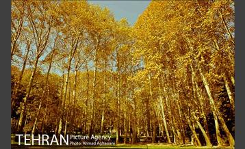 کاخ سعدآباد تهران 16