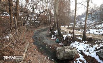 بازدید نخبگان منطقه ۵ از پروژه‌های عمرانی 16