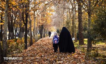 گذرگاه های پاییزی پایتخت - منطقه 14