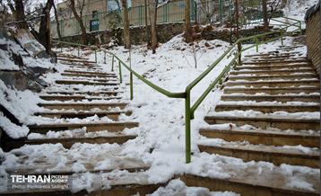 درکه پس از بارش برف  13