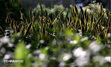 افتتاح پروژه‌های منطقه ۱۴ 18