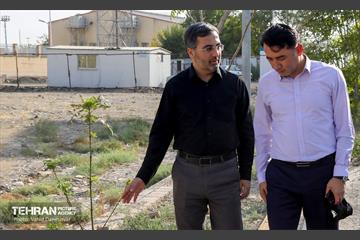 حضور مدیرعامل سازمان نوسازی شهرداری تهران در منطقه۱۷