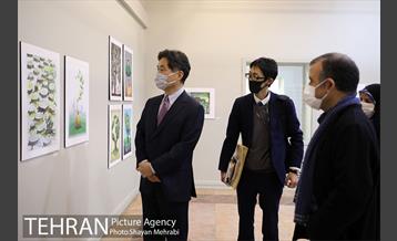 بازدید سفیر ژاپن از نمایشگاه تهران از منظر هنرمندان 8