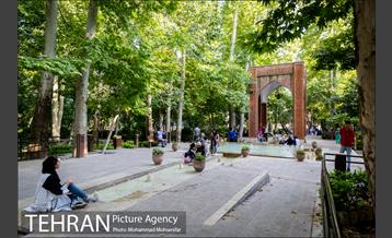 شهرنگار؛ باغ ایرانی 19