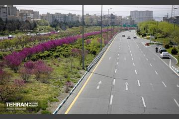 هوای بهاری منطقه 5 32