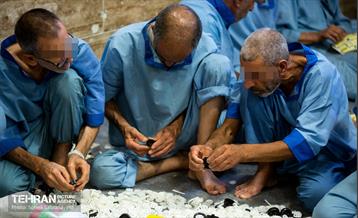 شرکت کنندگان دوره آرمانشهر در یاورشهر 12