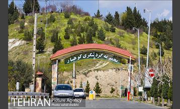 بوستان جنگلی کوهسار 1