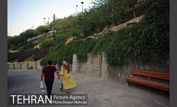 بوستان نهج البلاغه (فاز١) 13