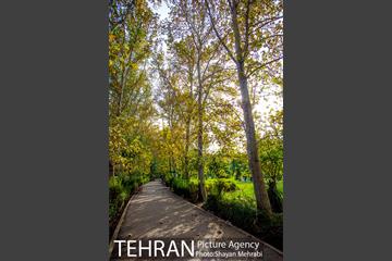 پاییز بوستان لاله 26