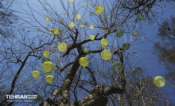 طرح نوروزی آرامش بهاری در آستان مقدس امامزاده شعیب علیه السلام  13