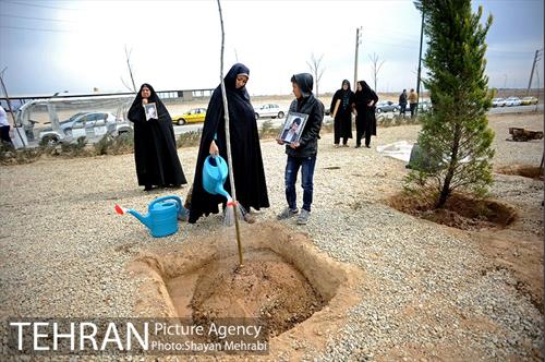 آیین کاشت درخت ایثار و امنیت 33