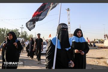 پیاده‌روی زائرین اربعین حسینی در مسیر نجف به کربلا 24