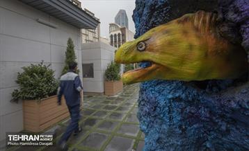 اقیانوس پارک  13