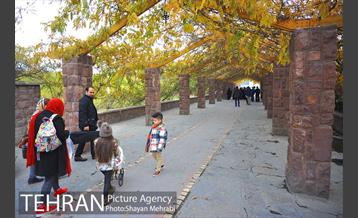 پاییز منطقه گردشگری اراضی عباس آباد 2