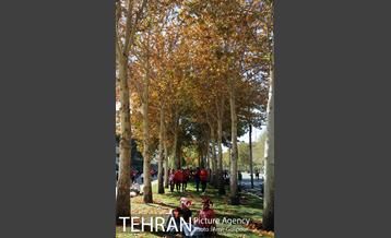 حاشیه های بازی پرسپولیس و السد قطر 11