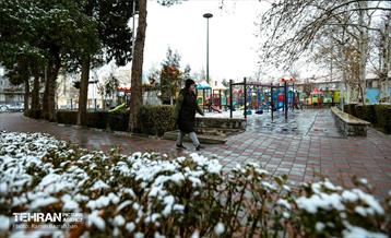 روز برفی در منطقه 8 27