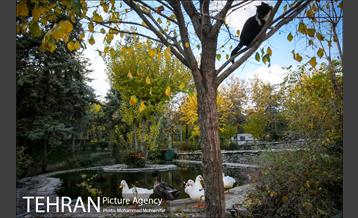 هوای پاک تهران 2