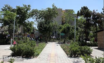 افتتاح بوستان شهدای خدمت و ۲۱۰ پروژه منطقه ۱۰ 5