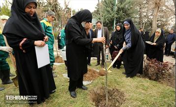 دومین پویش نفس‌های تازه شهر 5