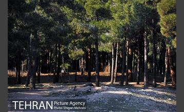 پارک جنگلی سرخه حصار 32