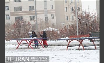 بارش برف در تهران 17