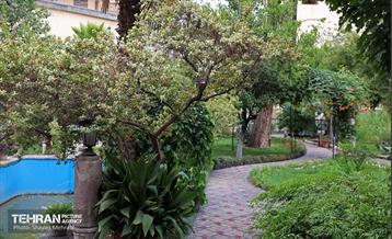 خانه مقدم 15