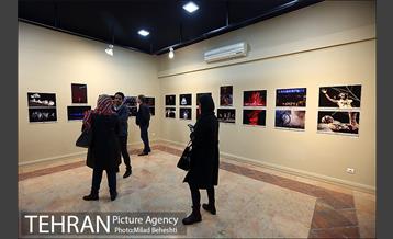 افتتاحیه هفدهمین جشن تصویر سال 12