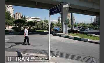 مراسم سالگرد و رونمایی از نام خیابان دکتر آئینه وند 29